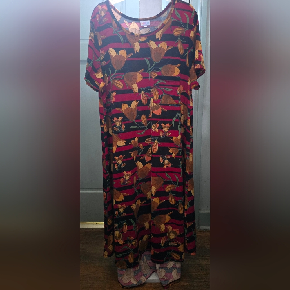 LuLaRoe Multicolor Floral Dress